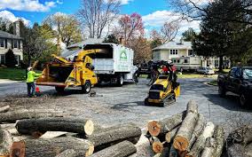 Northlake, SC Tree Services Company