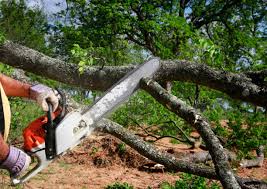 Best Utility Line Clearance  in Northlake, SC