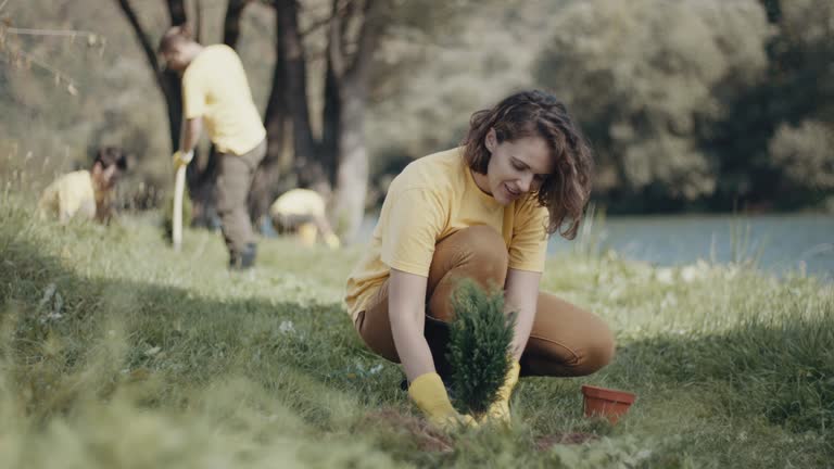 Best Soil Testing and Treatment  in Northlake, SC